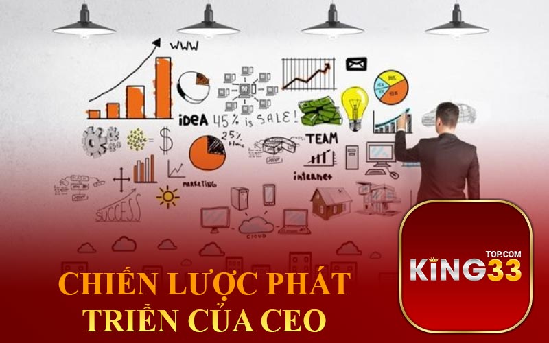 Chiến lược phát triển của CEO