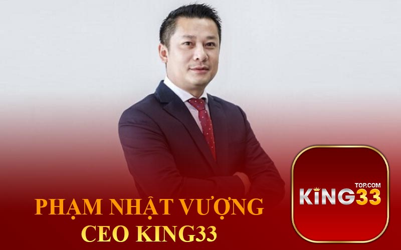 Phạm Nhật Vượng CEO King33