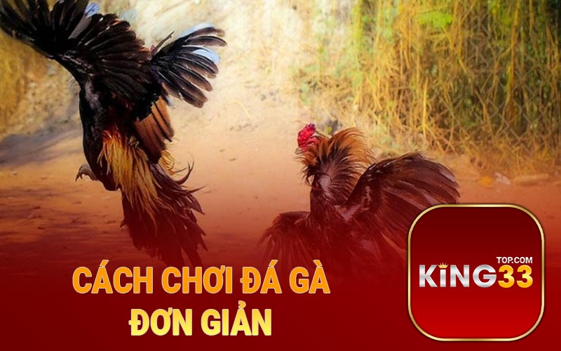 Cách chơi đá gà đơn giản