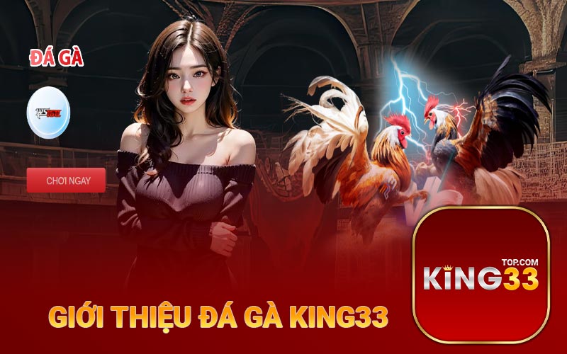 Đá gà King33