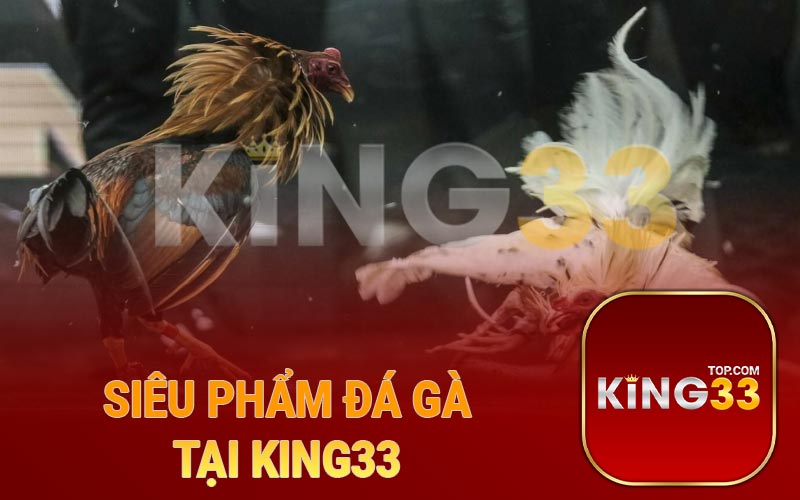 Siêu phẩm đá gà tại King33